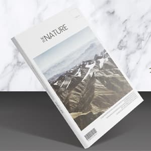1 Lookbook finitions premium - 40 pages